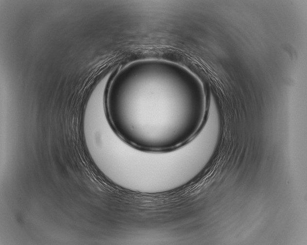 X0000112721300200908201240