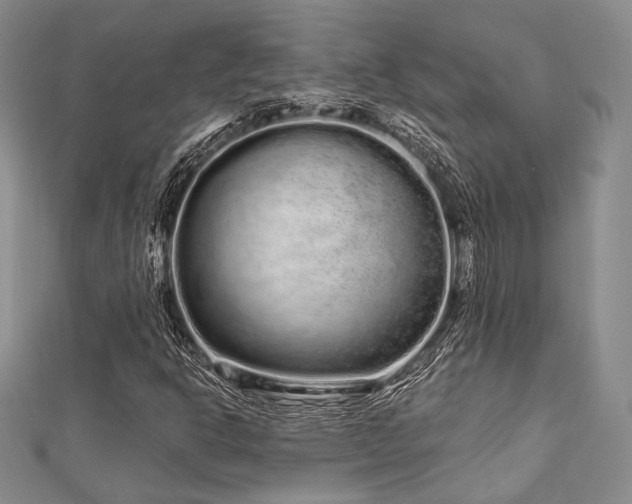 X0000112721302200908201240