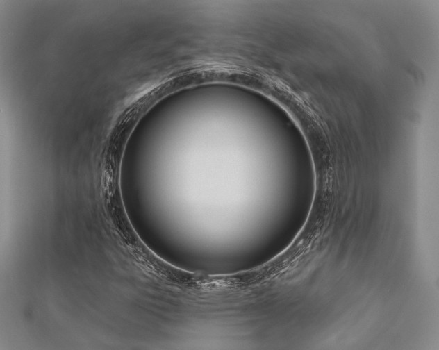 X0000112721303200908201240