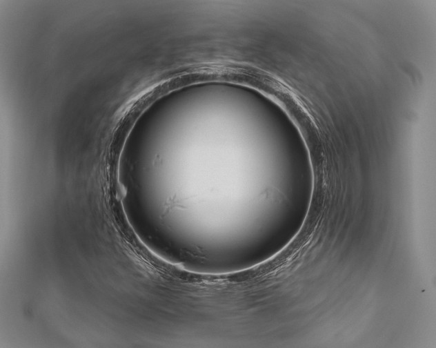 X0000112721304200908201240