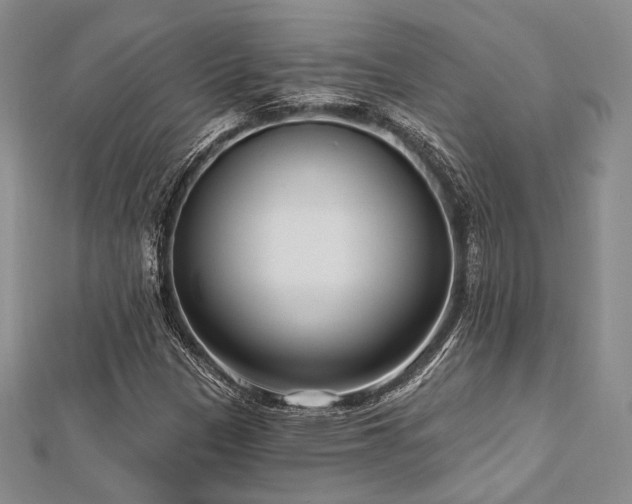 X0000112721305200908201240