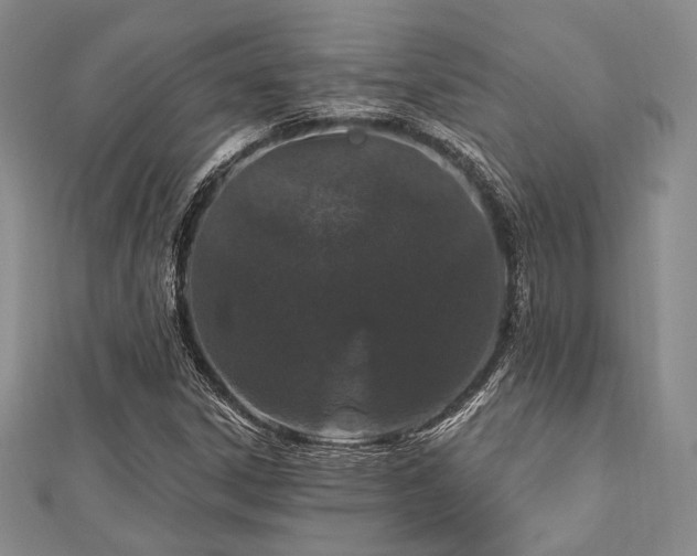 X0000112721306200908201240