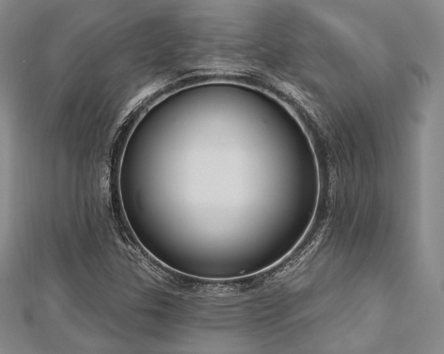 X0000112721307200908201240