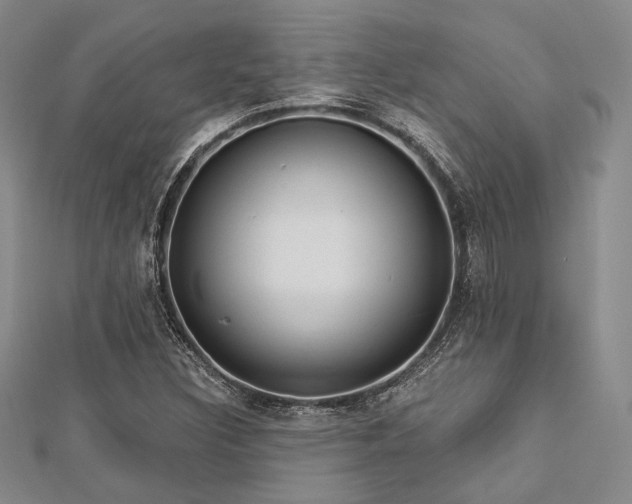X0000112721308200908201240