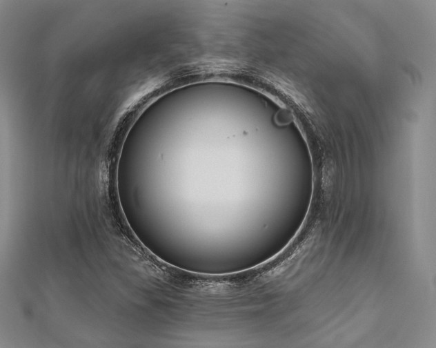 X0000112721309200908201240
