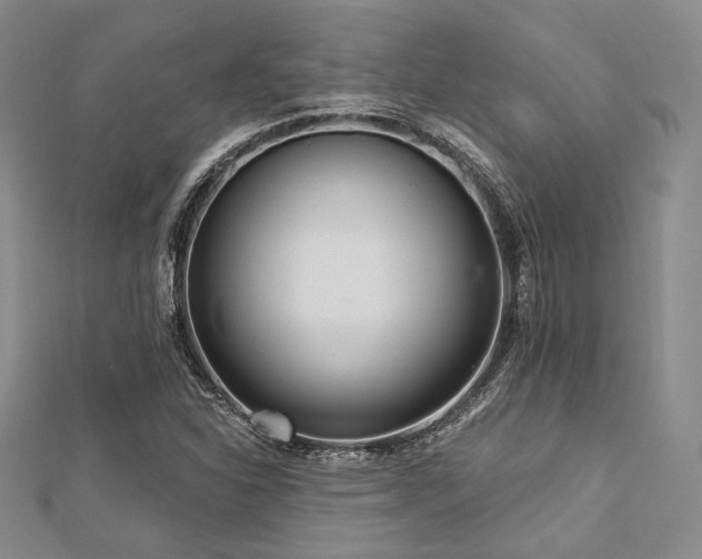 X0000112721310200908201240