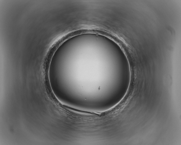 X0000112721311200908201240