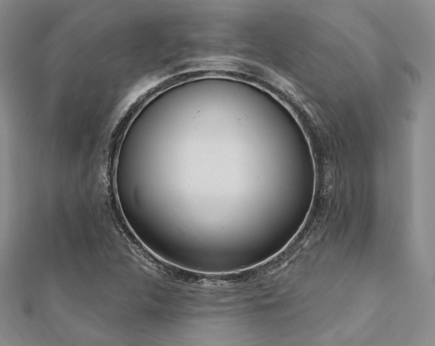X0000112721312200908201240