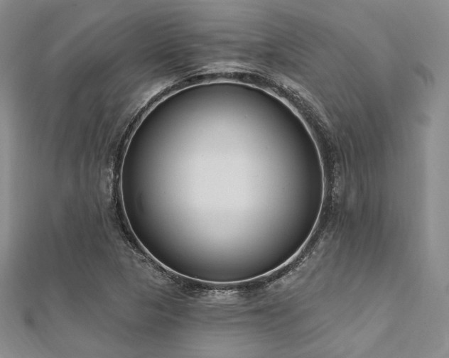 X0000112721313200908201240