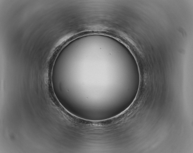 X0000112721315200908201240