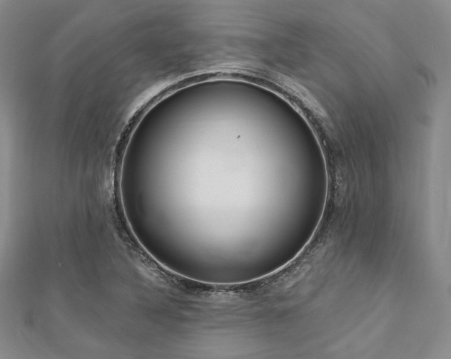 X0000112721316200908201240