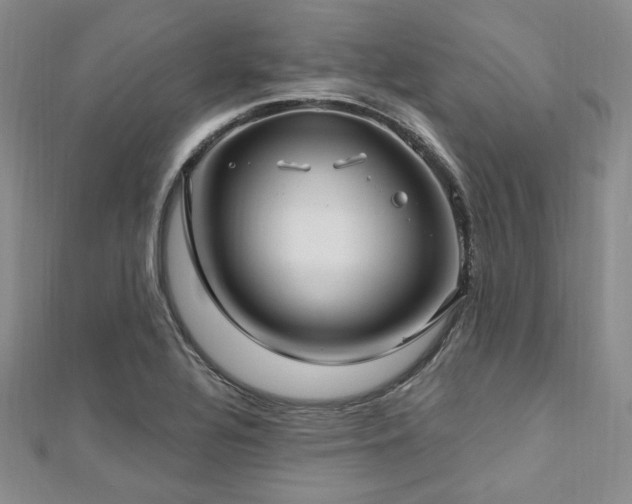 X0000112721320200908201240