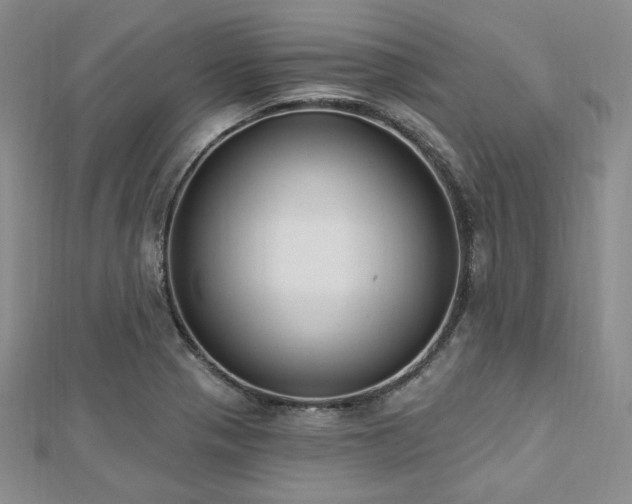 X0000112721321200908201240