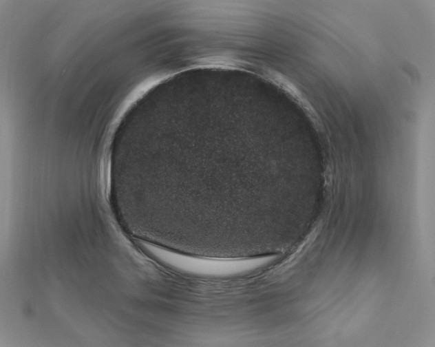 X0000112721323200908201240
