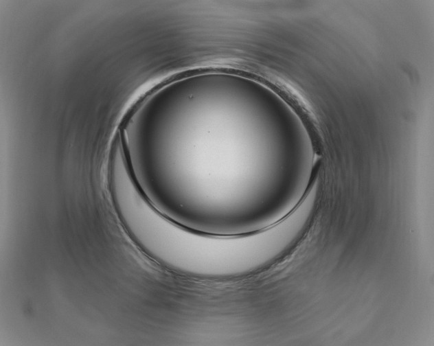 X0000112721324200908201240