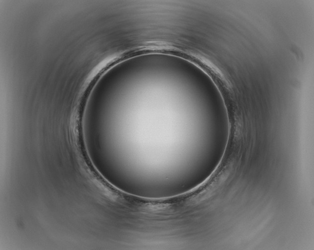 X0000112721325200908201240