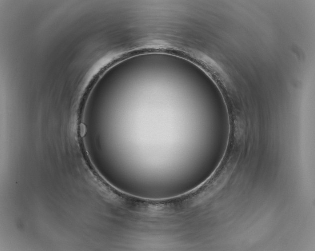 X0000112721326200908201240