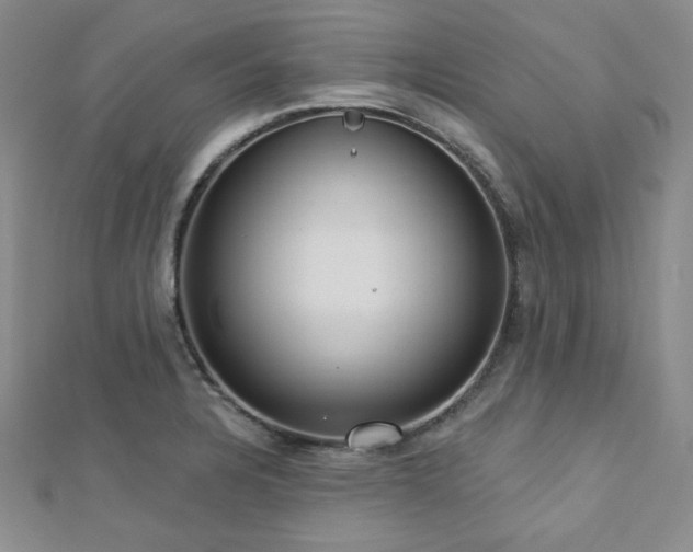 X0000112721328200908201240