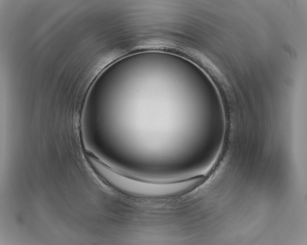 X0000112721329200908201240