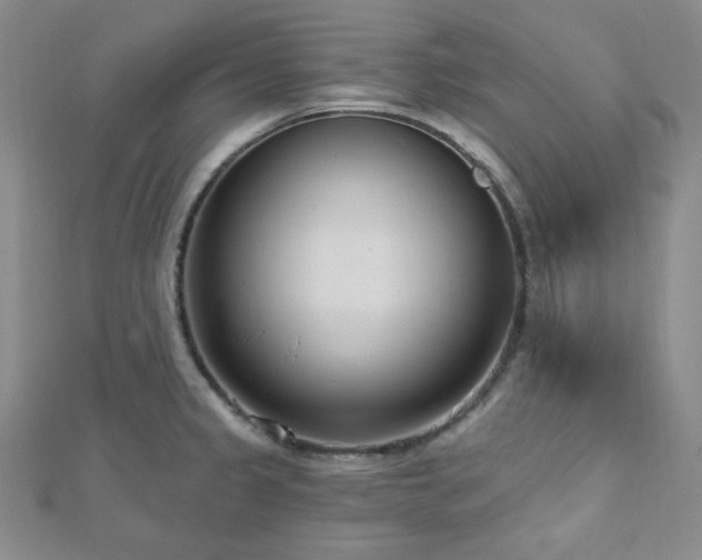 X0000112721333200908201240