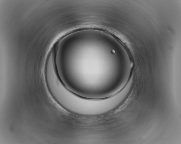 X0000112721334200908201240