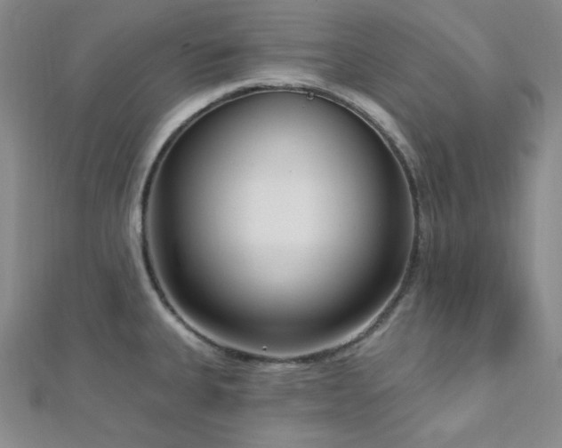 X0000112721335200908201240