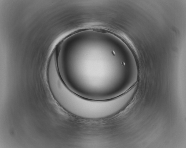 X0000112721336200908201240