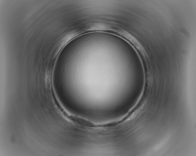 X0000112721337200908201240