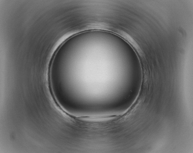 X0000112721339200908201240