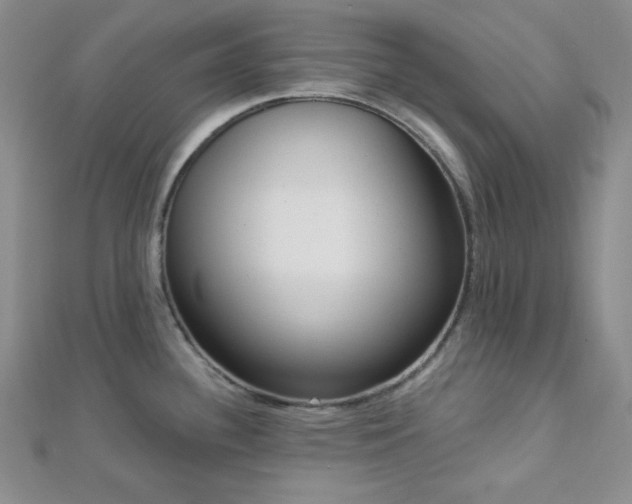 X0000112721340200908201240