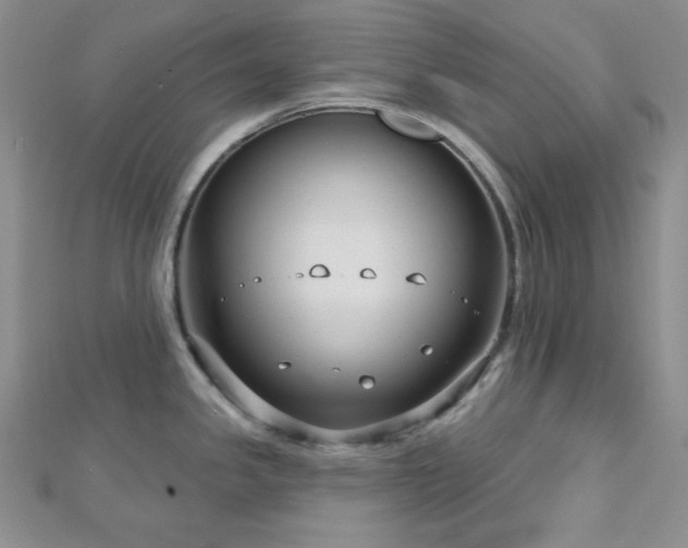 X0000112721341200908201240