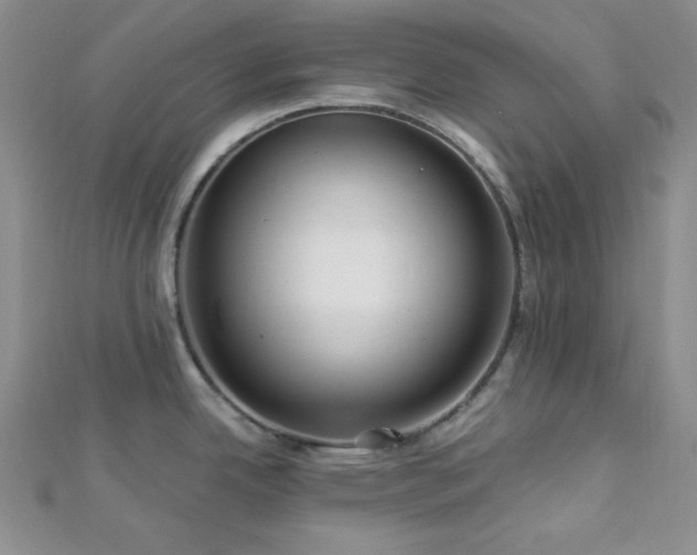 X0000112721342200908201240