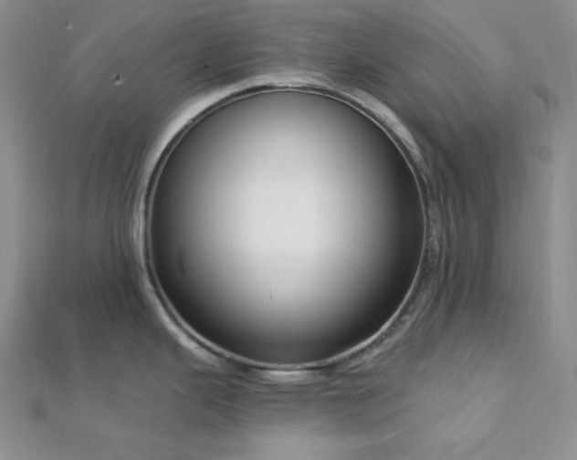 X0000112721343200908201240