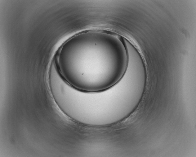 X0000112721344200908201240
