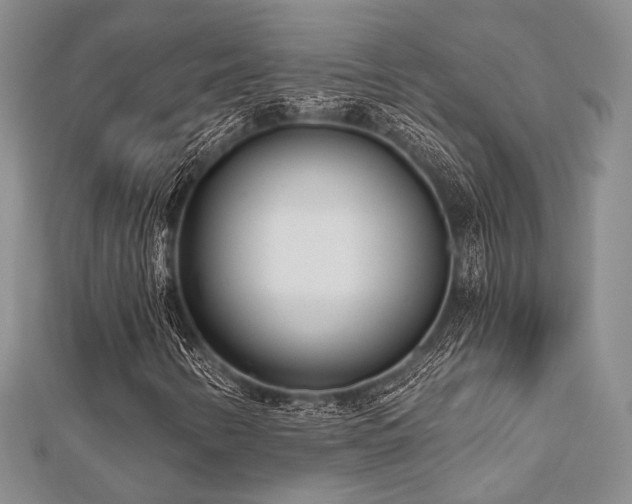 X0000112721346200908201239