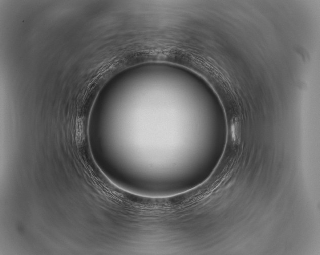 X0000112721347200908201239