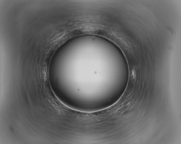 X0000112721348200908201239