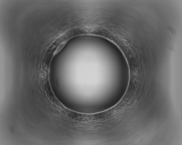 X0000112721349200908201239