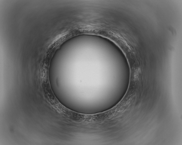 X0000112721350200908201239