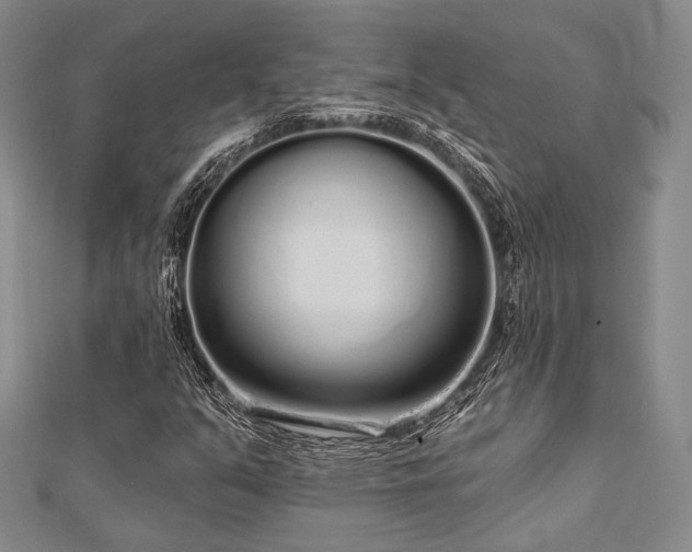 X0000112721351200908201239