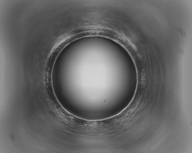 X0000112721352200908201239