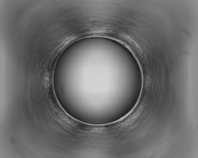 X0000112721353200908201239