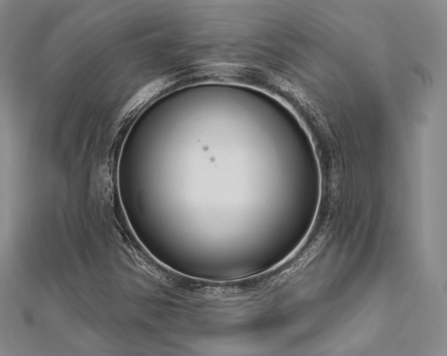 X0000112721354200908201239