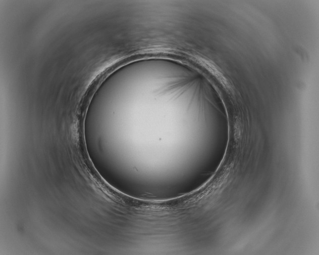 X0000112721356200908201239