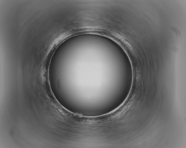 X0000112721357200908201239
