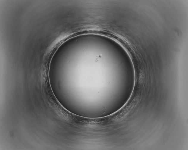 X0000112721359200908201239