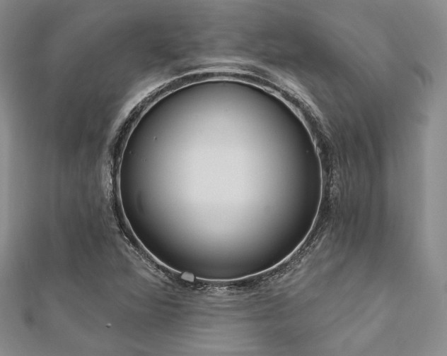X0000112721360200908201239