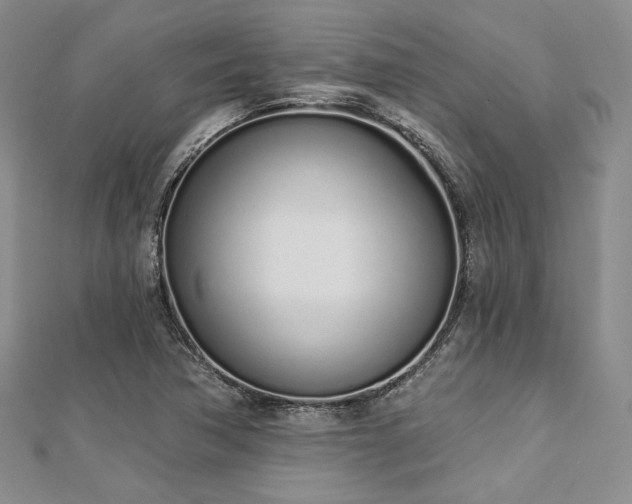X0000112721362200908201239