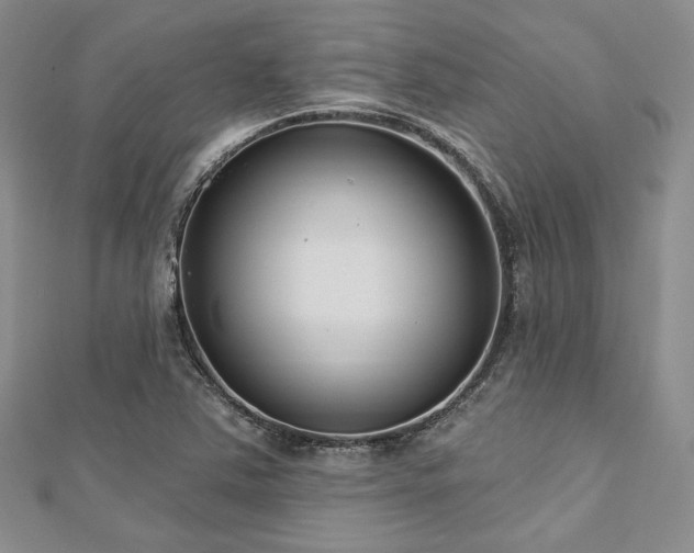 X0000112721363200908201239