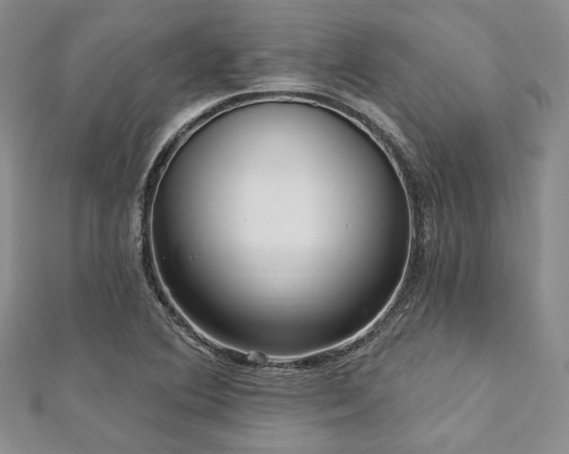 X0000112721364200908201239